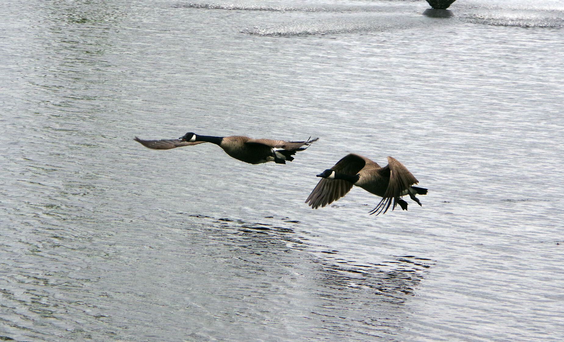 Fishing Derby